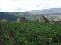 gale-20120725 074
